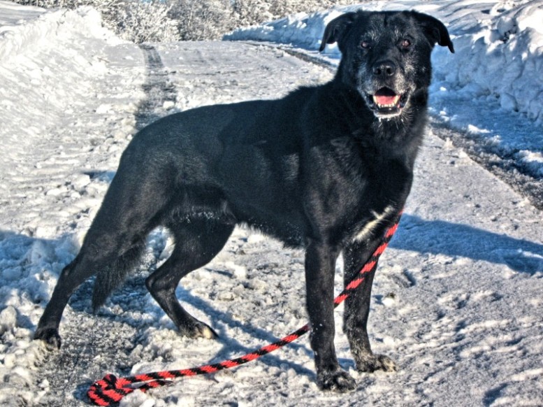 IMG_3596_ToneMapping-800x600