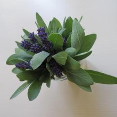 Bylinkové babí léto ve Špitálku 1 IMG_5230