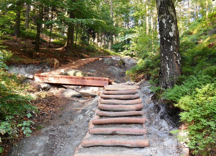 Na_navstevniky_lesu_v_Libereckem_kraji_ceka_diky_Lesum_CR_nekolik_prijemnych_novinek_medium