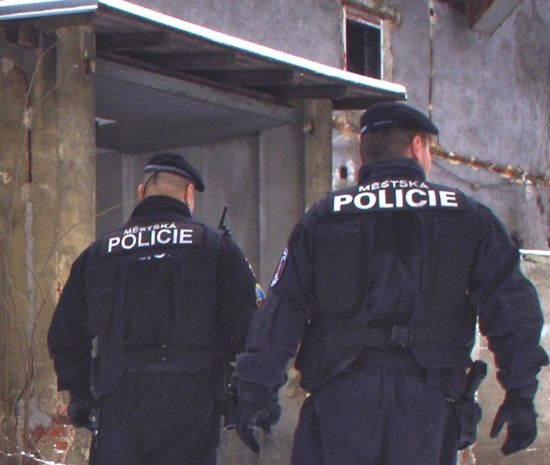 hlidka vstupuje do domu