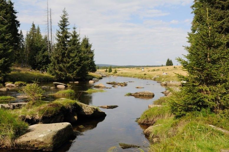 Jizerská Divočina 1 001