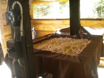 Moštárna Dětřichov 1 fotoodlidusky069