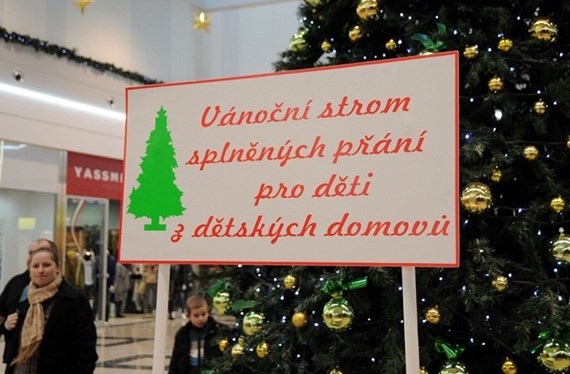 Liberecké nákupní centrum rozzářil strom, který plní opuštěným dětem přání 1 1