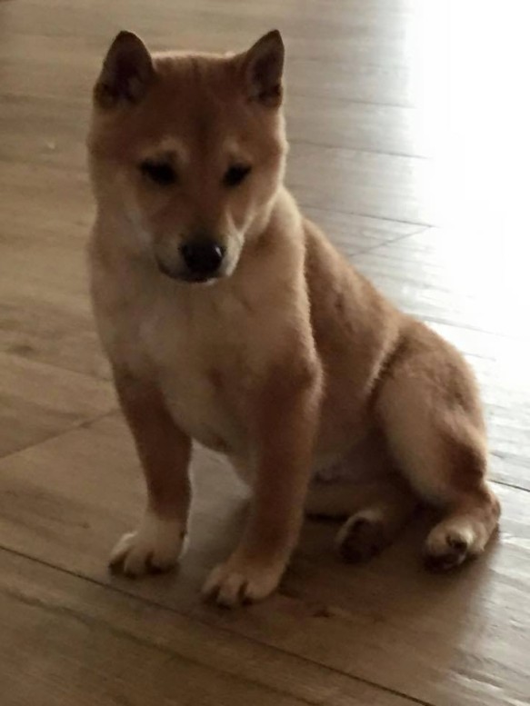 000000000000000000000000001