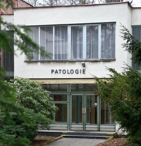 Nové oddělení soudního lékařství v kraji 1 0001