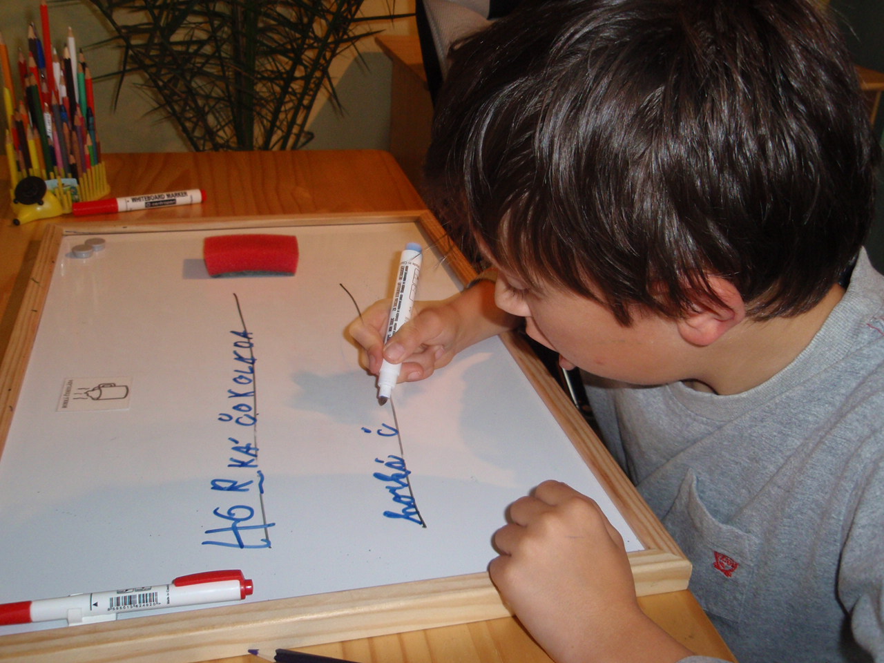 Logopedická péče v České republice