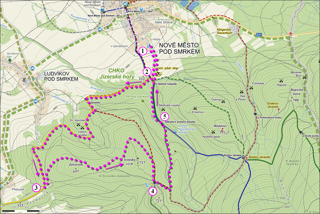 Mezinárodní pěší pochod