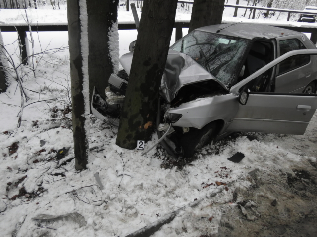 Plus 5 Řidič Peugeotu nezvládl řízení a narazil do stromu