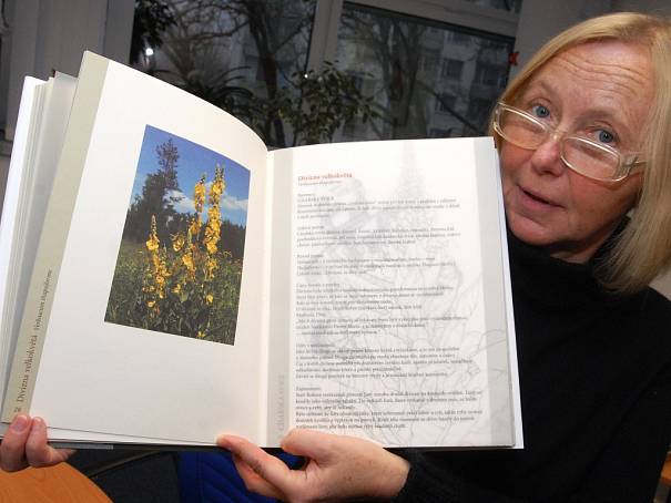 Plus 4 Už i patnáctileté děti vykazují známky stařecké demence!