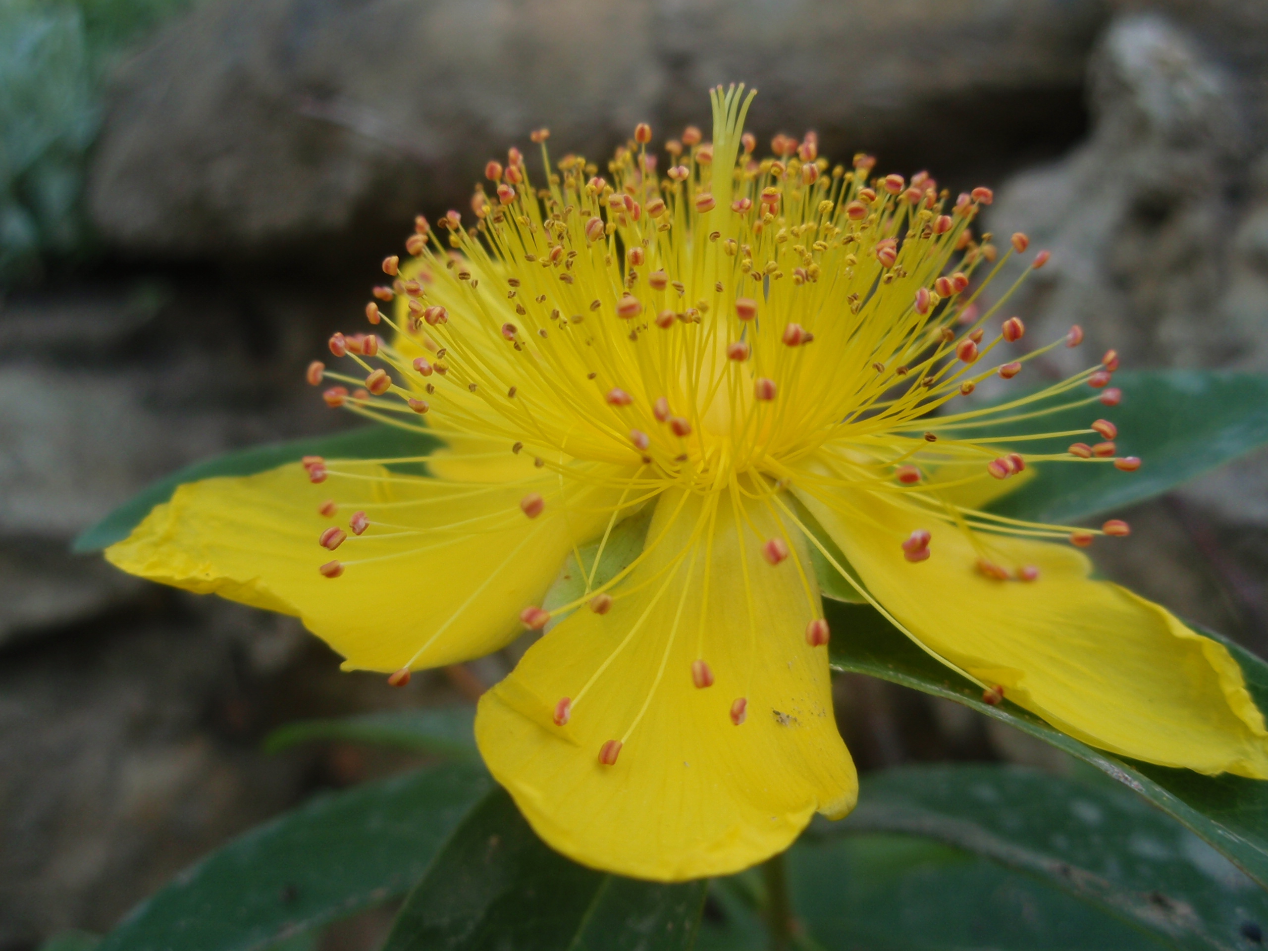 Působení speciálního pedagoga na střední škole