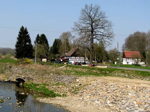 Dub ve Vísce už je připraven na oslavy