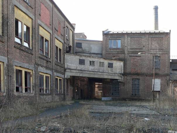 Slezan je plný těžkých kovů 1 slezan-2_denik-605