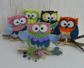 11150758_825944054155045_3555844602188609772_n