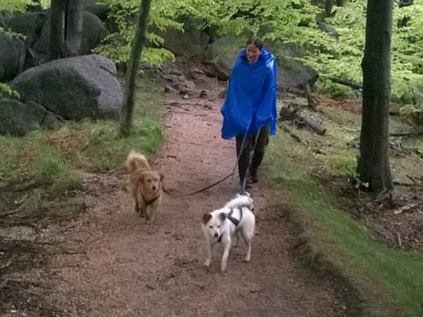 Jizerkami šlapali dogtrekaři