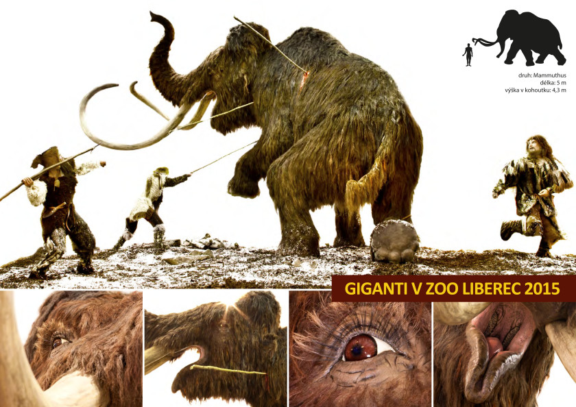 Giganti v ZOO, aneb zachrání vyšší návštěvnost liberecké sloní dámy?