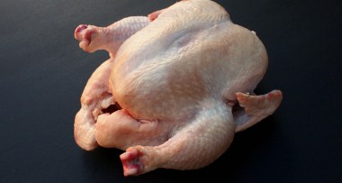 Pozor! Veterináři objevili salmonelu ve třech tunách kuřecího