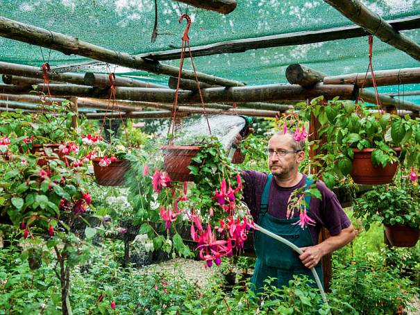 V zahradě libereckého pěstitele Pevného rozkvétají stovky květin