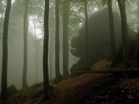 HLASOVÁNÍ. Zaostřeno na Jizerky: Vyberte nejkrásnější fotku Jizerských hor
