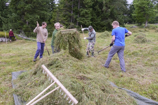Jizersko – ještědský horský spolek pečuje o horské louky