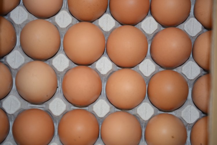 Ubytování, penziony, hotely, chaty, chalupy, resorty, hostely, motoresty a kempy 41 Kurz naučí kuchaře ze školních jídelen vařit atraktivně