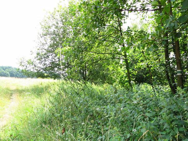 TJ Jiskra Višňová 51 Značkaři v ohrožení, chybí peníze