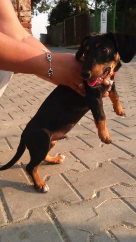 Nalezenec za starým sídlištěm v Hejnicích…