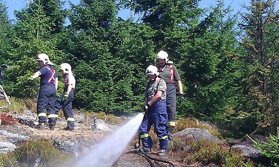 Požár lesního porostu v Jizerských horách