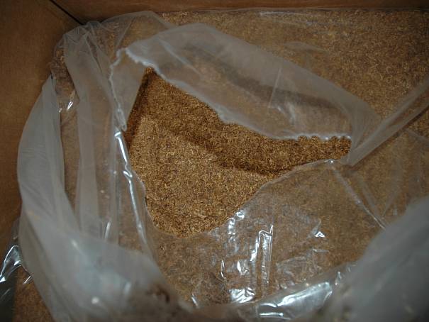 Pašování cigaret a tabáku z Polska je podle celníků stále v kurzu