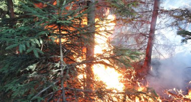 Požár v Jizerských horách se hasičům asi podařilo zlikvidovat