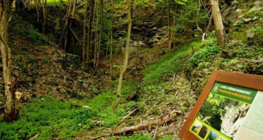 U Zeleného stromu / Restaurace 60 Dobrovolníci z Pakistánu pomohou v Novém pralese na Ještědu