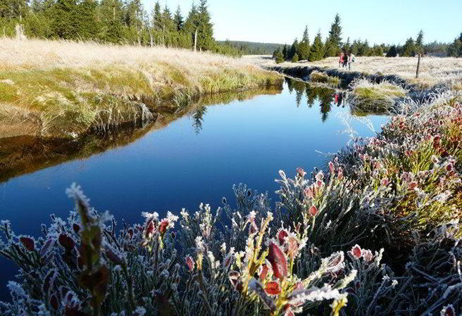 Tip na výlet - Safírový potok a rašeliniště Jizerky 1 98a2c711-dbaa-4fa8-959f-480569cbefd3_656_449_crop