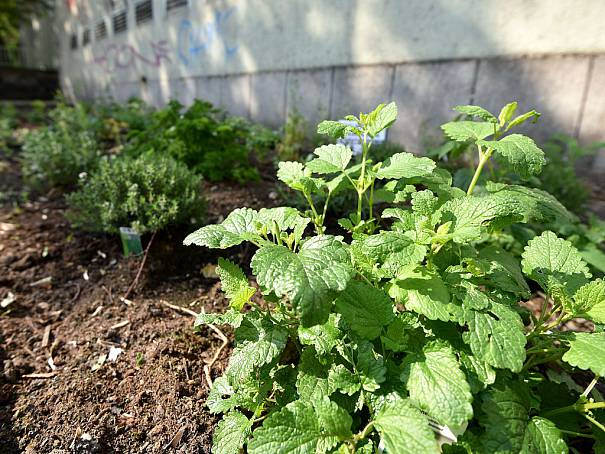 V obcích vysychají prameniště