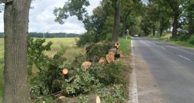 Na Frýdlantsku ustoupí další aleje autům. Místní nesouhlasí