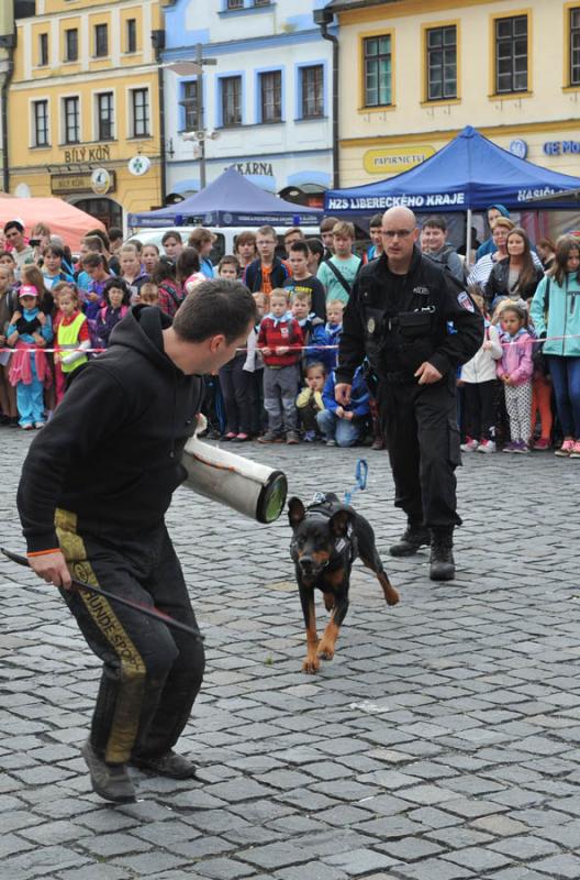 Náměstí bude v pátek patřit složkám Integrovaného záchranného systému 1 API_1129
