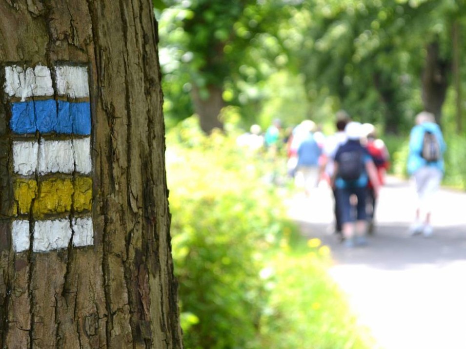 jbc-trojak-d1509240hs2l1_galerie-980