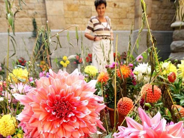 V Hejnicích vystavovali jiřiny a soutěžili v aranžování