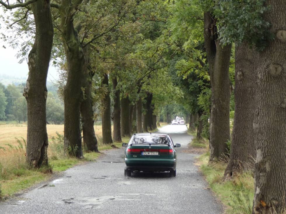 freedlantsko.eu 43 Stromy si nenecháme pokácet, říkají aktivisté z Frýdlantska