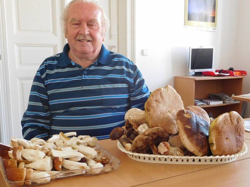 lib-houby-1_galerie-980