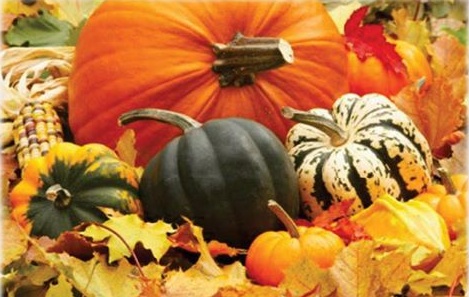 Sháníme dýně na podporu Svatomartinského posvícení