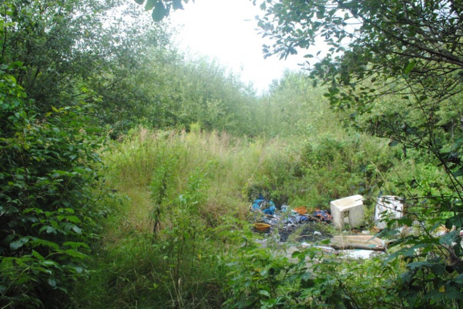 1000x1000-1445179568-ilustracni-foto