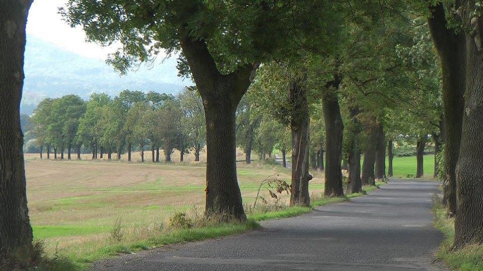 12036573-683299815104945-4609789776890796189-n_galerie-980