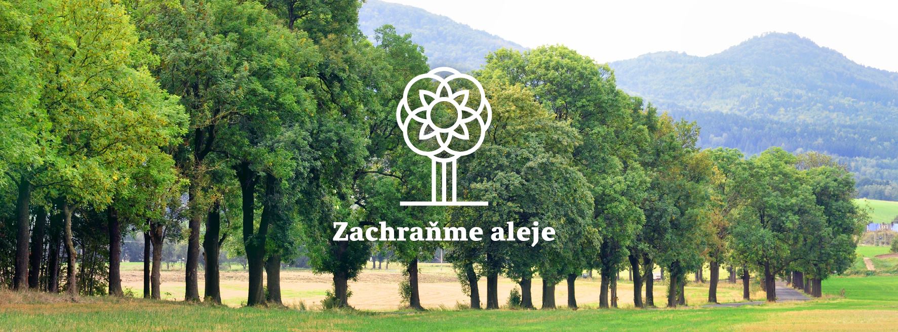 12079983_686229941478599_6085333428949001807_o