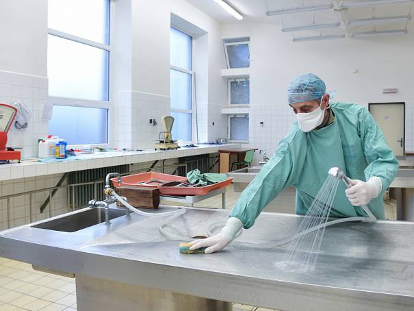 Koronera se v nemocnici nedočkají