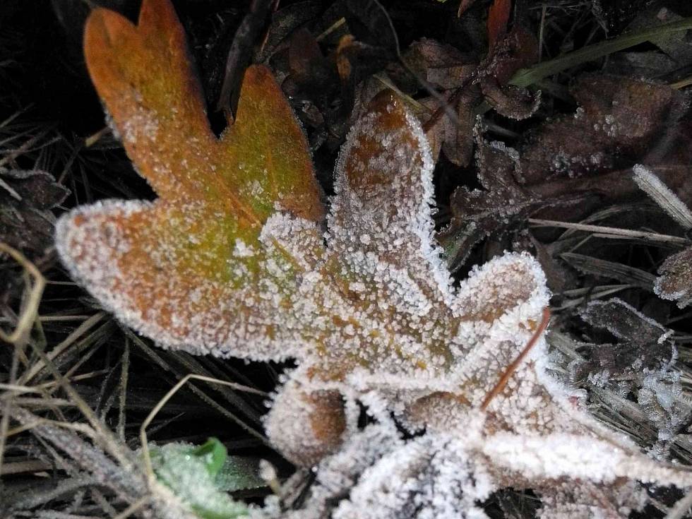 Na Jizerce padl rekord, teplota tam klesla na minus 9,6 stupně