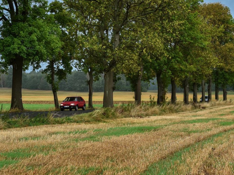 Odborníci už posoudili část alejí 1 lb-alej-raspenava_galerie-980