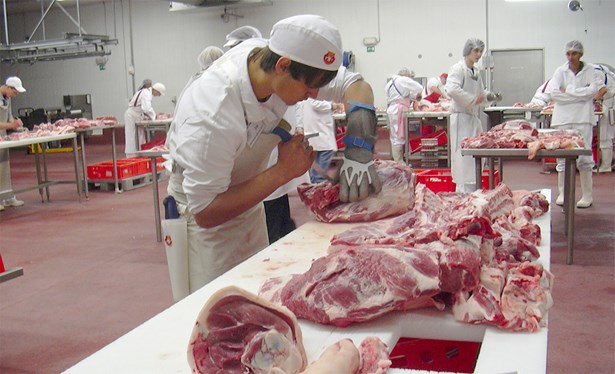 Poptávka po absolventech s titulem klesá, sháňka je naopak po řemeslnících