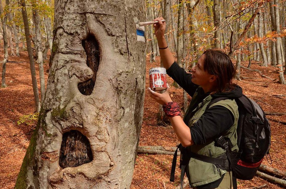 U Liberce vznikla nová stezka, turistům představuje hornickou minulost regionu