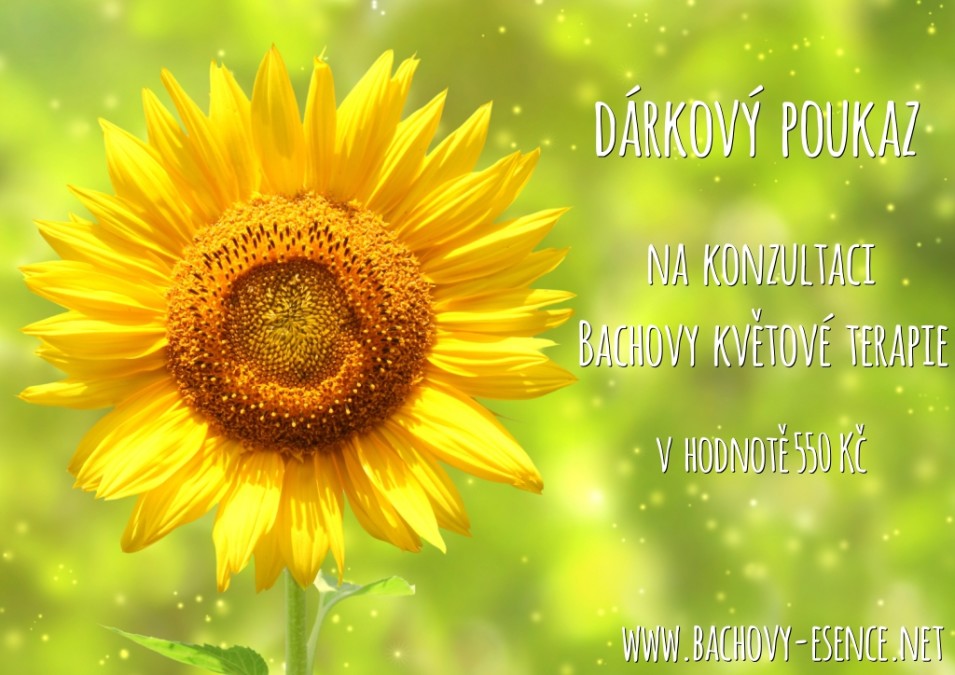 darkovy_poukaz_BKT