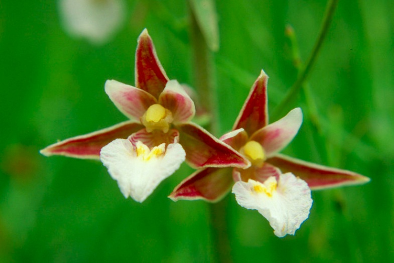 Plus 16 Přírodní poklady Libereckého kraje na jednom místě