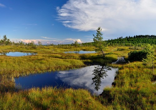 Ve vestibulu radnice jsou k vidění krásné fotografie Jizerských hor